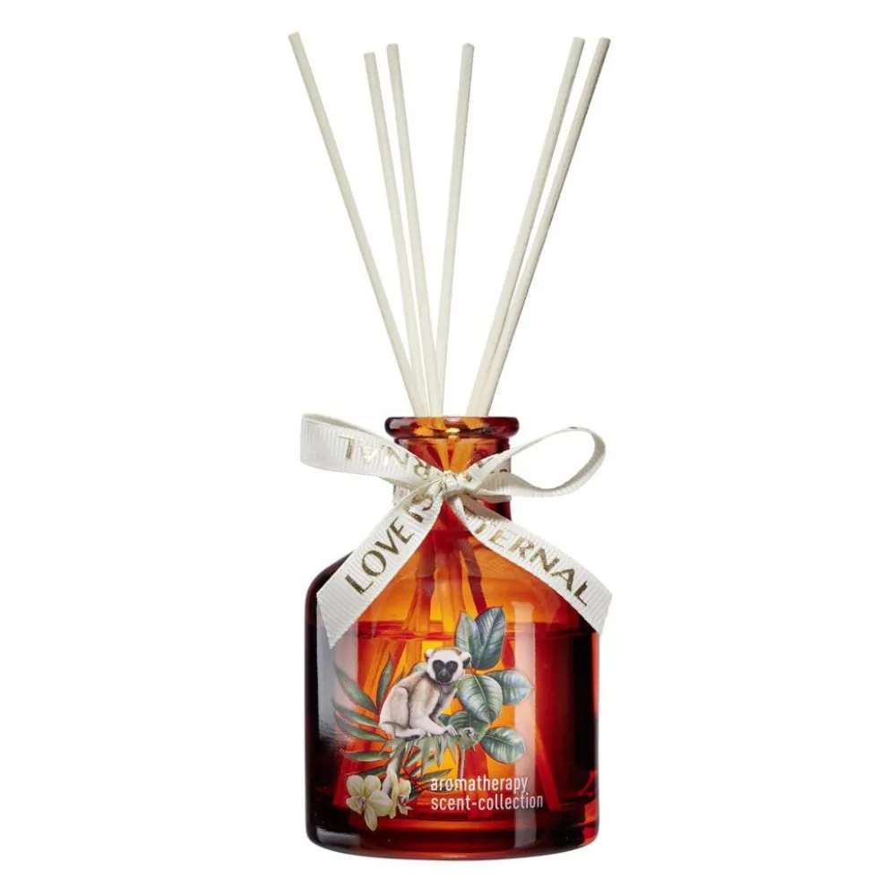Diffuseur de senteur à bâtonnets bouteille verre colorée Ø7xH10cm (3 modèles)