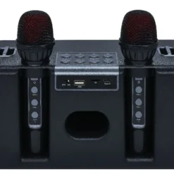 Enceinte karaoké 2 micros Homday Party