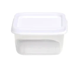 Lot de 10 mini boîtes alimentaires 65ml