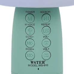 Micro karaoké et veilleuse bluetooth XL forme champignon