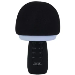 Micro karaoké et veilleuse bluetooth XL forme champignon