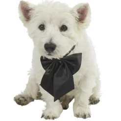 Noeud papillon satiné pour chien ou chat (2 modèles)