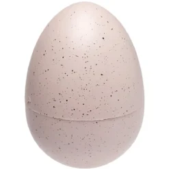oeuf de dinosaure magique