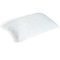 Oreiller mémoire de forme rafraîchissant 40x60cm