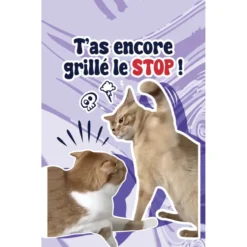 Parfum d'ambiance pour voiture senteur lavande