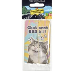 Parfum d'ambiance pour voiture senteur vanille