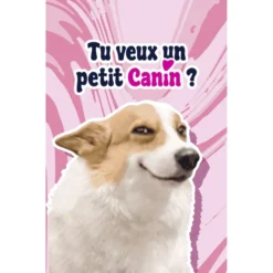 Parfum d'ambiance pour voiture senteur cerise