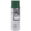 Peinture intérieur extérieur vert mousse 400ml