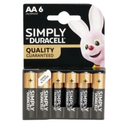 Pile LR06 type AA x6 Duracell