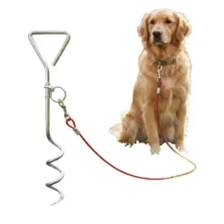 Piquet attache chien métal 4m