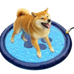 Piscine pour chien ronde Ø100xH10cm