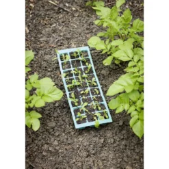 Plateau de culture pour semis plastique vert 27 compartiments 3 pièces