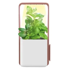 Potager intérieur clipsable avec kit de démarrage