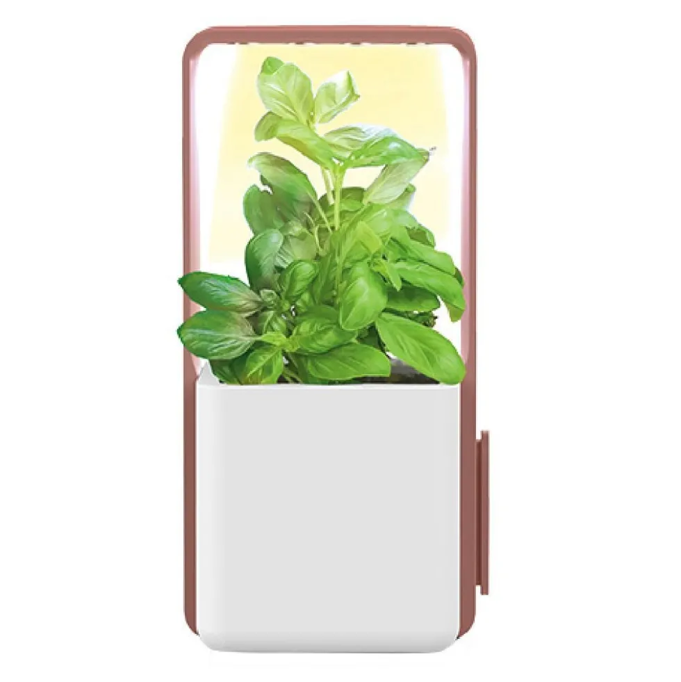 Potager intérieur clipsable avec kit de démarrage