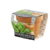 Pot terre cuite culture menthe avec graines et terreau H8.5cm