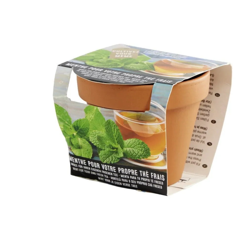 Pot terre cuite culture menthe avec graines et terreau H8.5cm