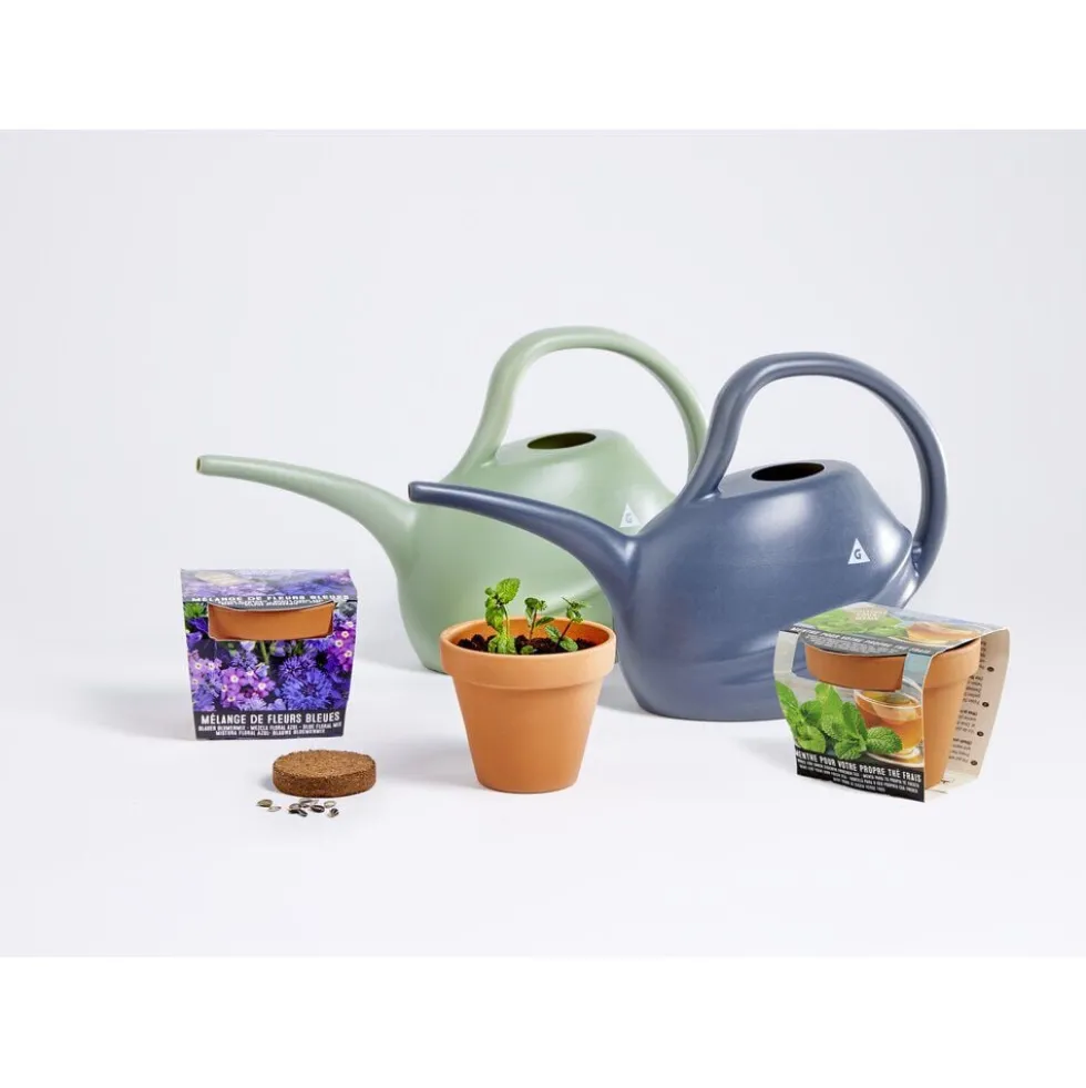 Pot terre cuite culture menthe avec graines et terreau H8.5cm