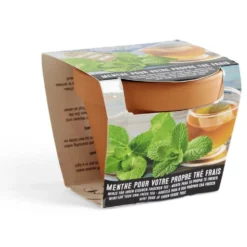 Pot terre cuite culture menthe avec graines et terreau H8.5cm