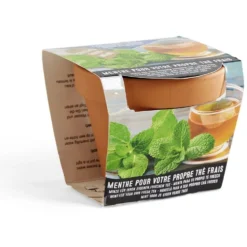 Pot terre cuite culture menthe avec graines et terreau H8.5cm