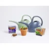 Pot terre cuite culture mélange fleurs bleues avec graines et terreau H8cm