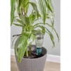 Réservoir d'eau arroseur plante