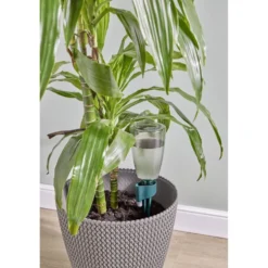 Réservoir d'eau arroseur plante