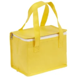 Sac fraîcheur 4,5L 22x16xH15cm