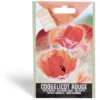Semence coquelicot rouge 0,5g