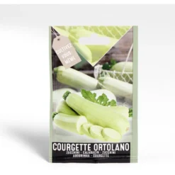 Semence courgette Ortolano1g