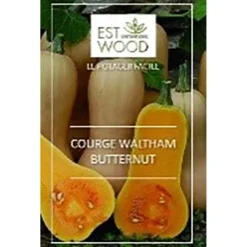 Semence Courge Waltham Butternut orange 1 gr