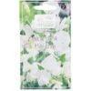 Semence de pois de senteur blanc Ensing