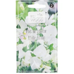 Semence de pois de senteur blanc Ensing