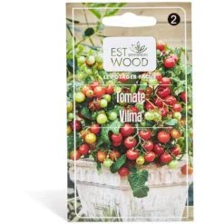 Semence de tomate Vilma
