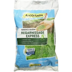 Semence gazon regarnissage 5kg