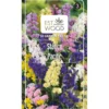 Semence graines de Statice Pacific multicolore 2 gr