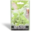 Semence menthe poivrée 0,5g