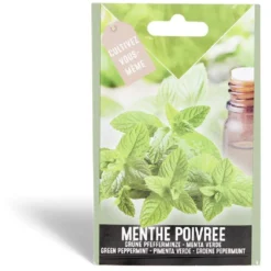 Semence menthe poivrée 0,5g
