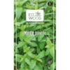 Semence Menthe poivrée vert 1 gr