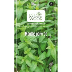 Semence Menthe poivrée vert 1 gr