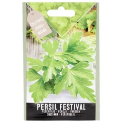 Semence persil Festival 1g