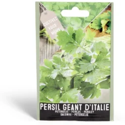 Semence persil géant d'Italie 1g