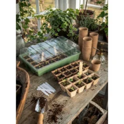 Set de culture croissance pour semis 24x38cm