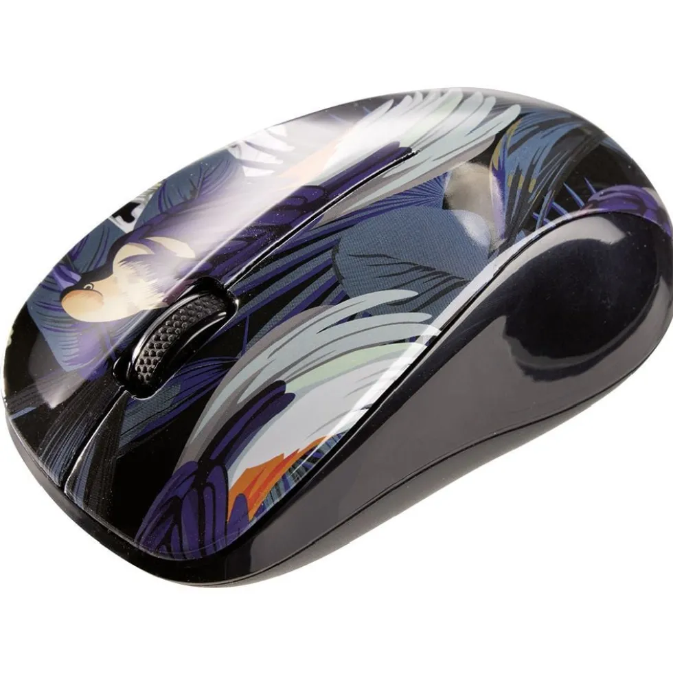 Souris sans fil