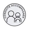 Sticker voiture conduite accompagnée