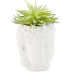 Tête Bouddha avec plante