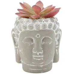 Tête Bouddha avec plante