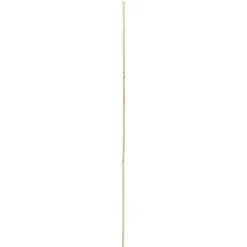 Tuteur bambou Ø1,2xH120cm x8