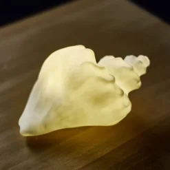 Veilleuse LED coquillage blanc