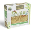 Vivarium d'observation racines de légumes
