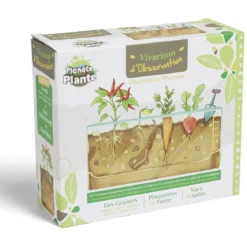 Vivarium d'observation racines de légumes